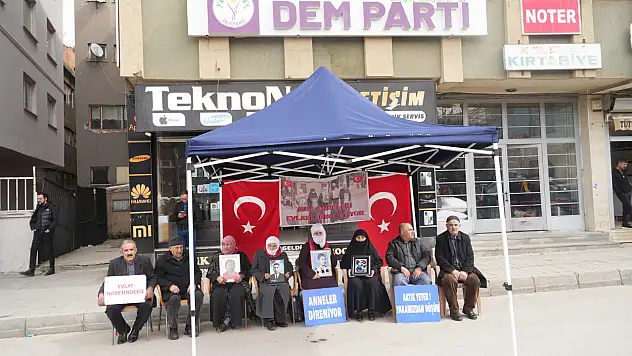 Muş'ta annelerin evlat nöbeti sürüyor