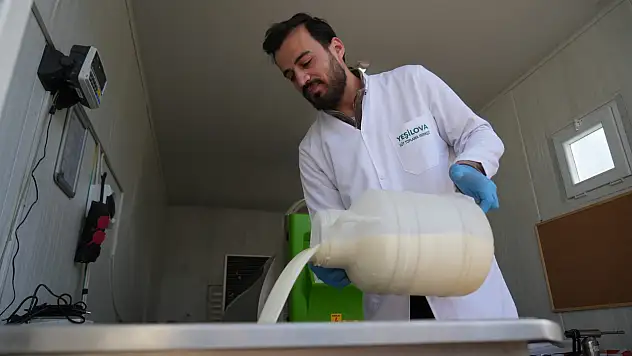 Muş'ta çiğ süt için soğuk zincir dönemi başladı