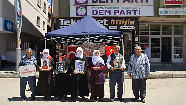 Muş'ta Evlat Nöbeti Sürüyor: Ailelerden Çocuklarına 'Teslim Olun' Çağrısı