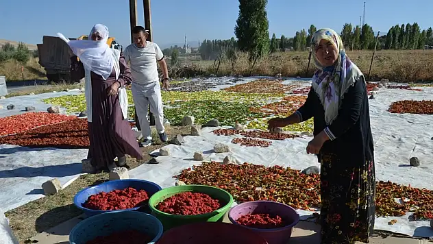 Muş'ta güneşte kurutulan sebzeler Avrupa sofralarına ulaşıyor