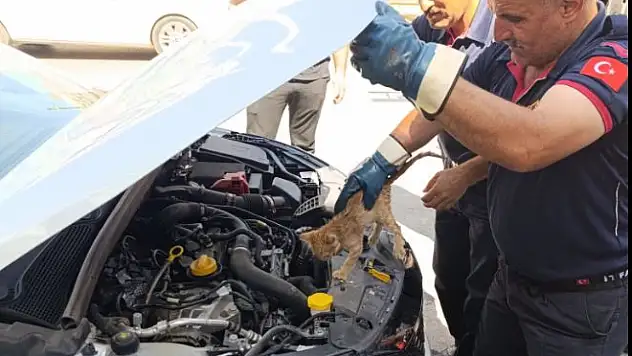 Muş'ta İtfaiye Ekipleri, Yavru Kediyi Kurtararak Duyarlılık Örneği Sergiledi