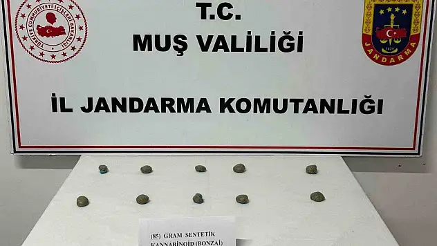 Muş'ta jandarmadan huzur operasyonu