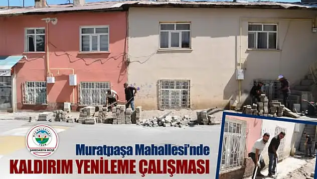 Muş'ta Kaldırımlar Yenileniyor: Fen İşleri Ekipleri Çalışmalarını Sürdürüyor