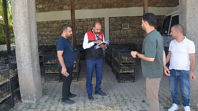 Muş'ta Kaz Yetiştiriciliği Projesi ile Kırsal Kalkınmaya Yeni Destek