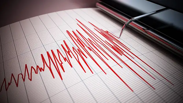 Muş'ta korkutan deprem! Çevre illerden hissedildi