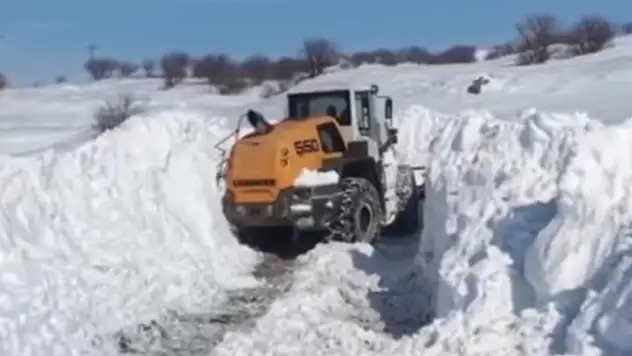 Muş'ta Köy Yolları Ulaşıma Açıldı