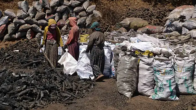 Muş'ta Mevsimlik İşçiler, Sıcak İklimde Kömür Üretiminde Zorluklarla Mücadele Ediyor
