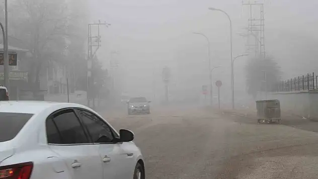 Muş'ta yoğun sis günlük yaşamı olumsuz etkiliyor, sürücüler zor anlar yaşıyor