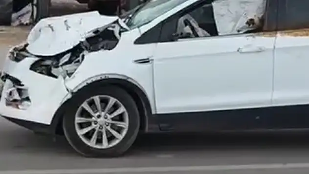 Muş'ta Yolda Aniden Karşıya Çıkan İneğe Otomobil Çarptı!