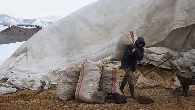 Nemrut'un serin yaylalarından kış ahırlarına uzanan yolculuk