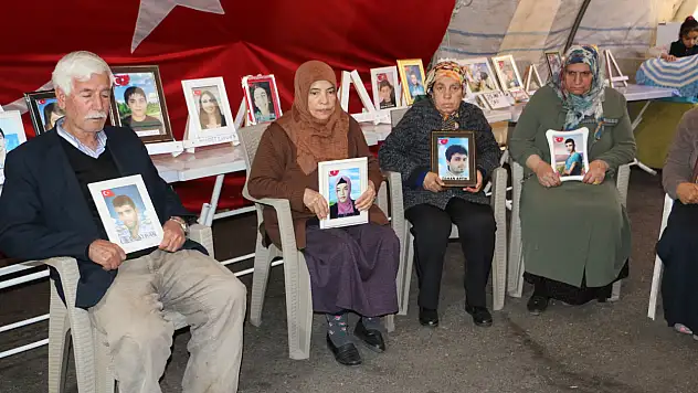 Nevruz'daki barış mesajları Diyarbakır annelerine umut oldu