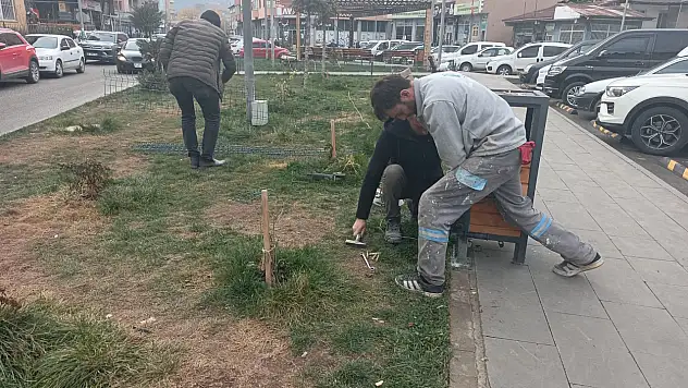 Oltu'da Yeşil Alanlara Estetik ve Koruma Dokunuşu