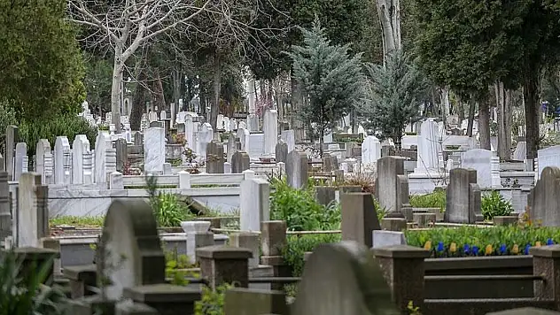 Ölüm oranlarında düşüş: 2024 istatistikleri dikkat çekti