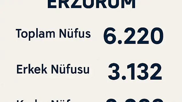 OLUR NÜFUSU ERZURUM – Güncel Verilerle İlçe Profili