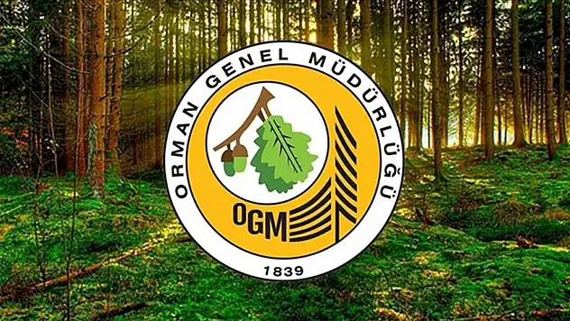 Orman Genel Müdürlüğü 496 personel alacak: Başvuru detayları belli oldu