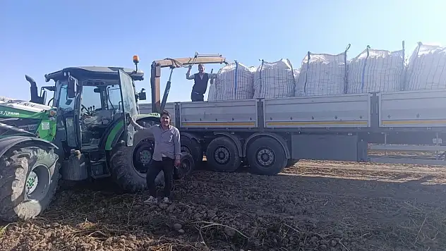 Patnos Ovası'nda altın sarısı bereket