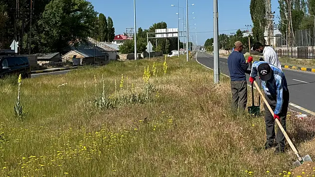 Patnos'ta 15 bin ağaç toprakla buluştu