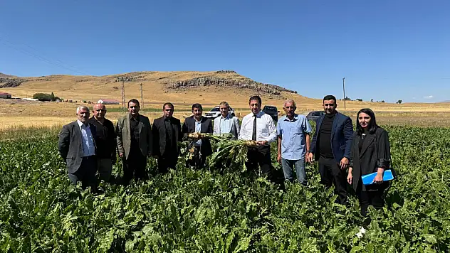 Patnos'ta çiftçi zorluğa rağmen üretmeye devam ediyor