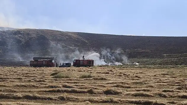 Patnos'ta çıkan yangın çiftçinin alın terini yaktı