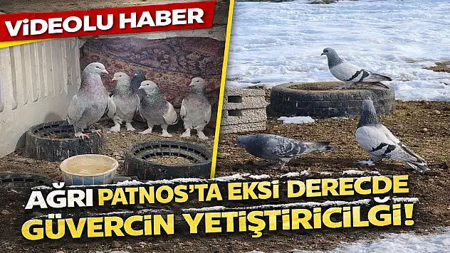 Patnos'ta eksi derecelere rağmen 7 yıllık güvercin tutkusu