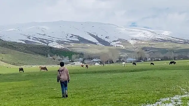 Patnos'ta iki mevsim bir arada yaşanıyor