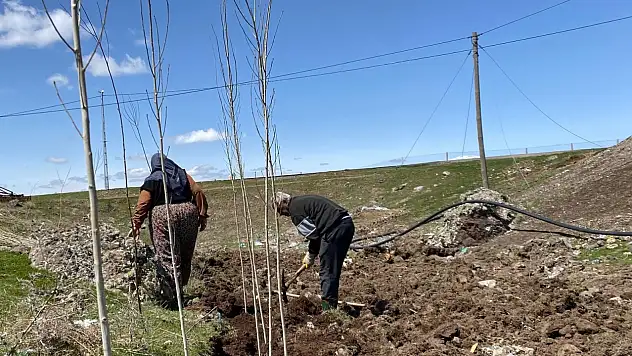 Patnos'ta imece ruhuyla fidan seferberliği