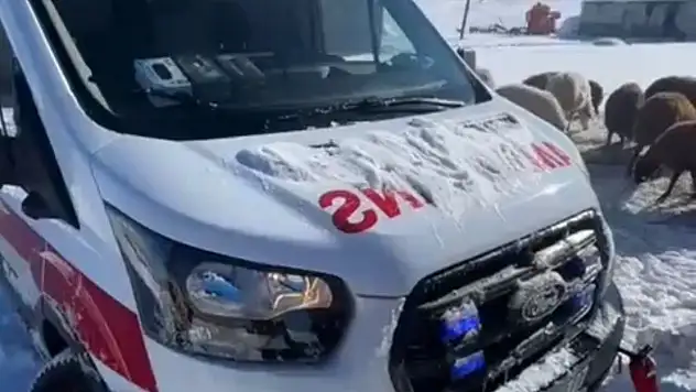 Patnos'ta kar engeline rağmen anne adayı hastaneye sevk edildi