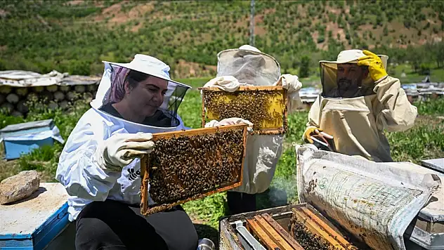 Şehir Hayatını Geride Bıraktılar, Bal Üretimiyle Geçim Sağlıyorlar