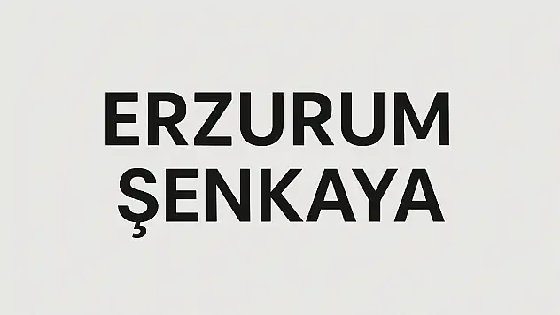 Şenkaya Nüfusu – Erzurum Kuzey Kapısında Nüfus Dağılımı ve Sosyal Yapı