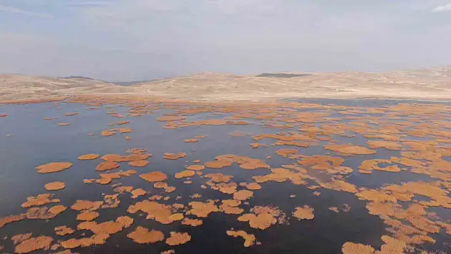 Sonbaharda Van: Tarih ve doğanın renk cümbüşü kartpostal gibi görüntüler sunuyor