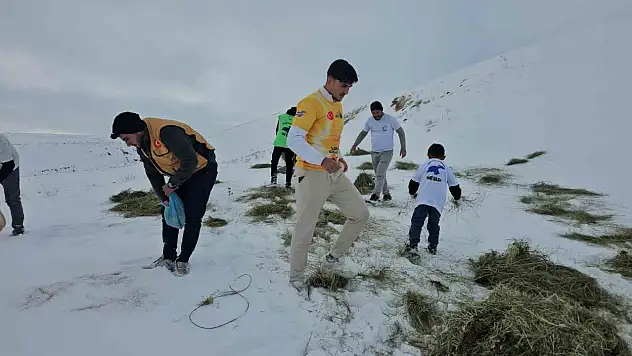 Süphan Dağı eteklerinde yaban hayatı için seferberlik