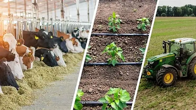 TC KİMLİK NUMARASININ SONU 0,2,4,6,8 OLANLARA MÜJDE