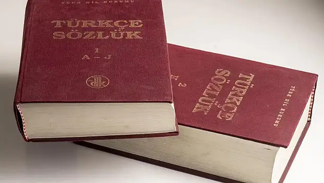 Tedavüle giriyor (çıkıyor) ne demek?