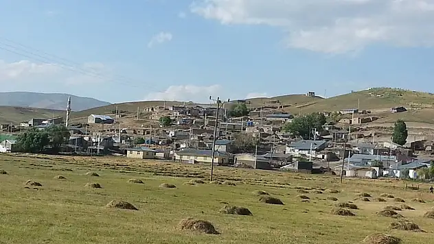 Tekman'da Aileler Arasında Çıkan Kavga: 7 Yaralı