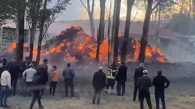 Tekman'da çıkan yangında yüzlerce balya ot yandı, jandarma inceleme başlattı