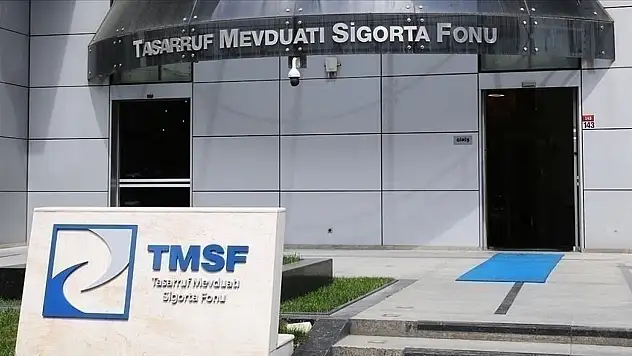TMSF, iki şirketi satışa çıkardı