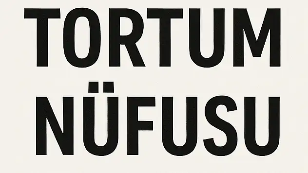 TORTUM NÜFUSU Erzurum Yükselen İlçesi Detaylı Mahalle Nüfus Analizi