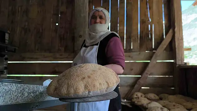 Tortum Şelalesi'nde Doğanın Büyüsüne Kapılın