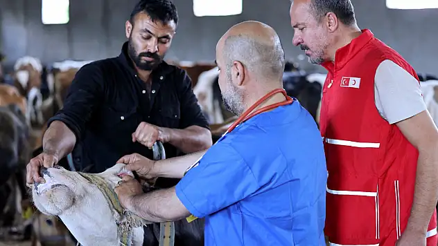 Türk Kızılay Ağrı Şubesi'nden kurban bağışı çağrısı
