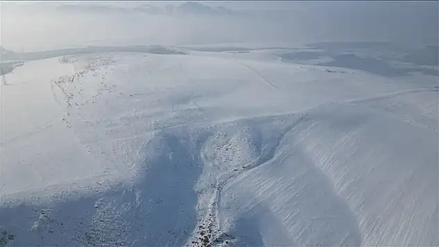 Türkiye'de gece en düşük sıcaklık Erzurum Tekman'da ölçüldü: -34 derece