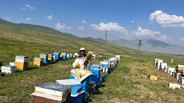 Türkiye'nin çatısında şifalı bal mesaisi başladı