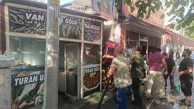 Tuşba'daki yangın hızla kontrol altına alındı, paniğe neden oldu