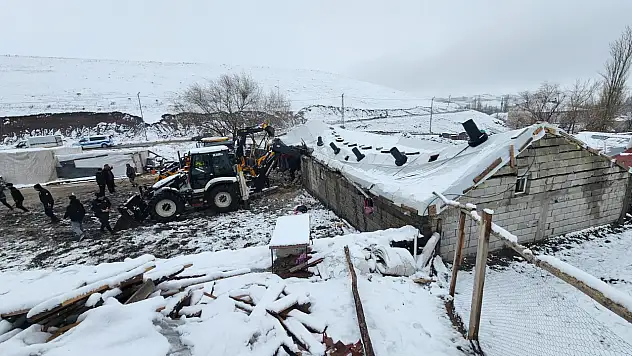 Tutak'ta ahır çöktü, hayvanlar son anda kurtarıldı