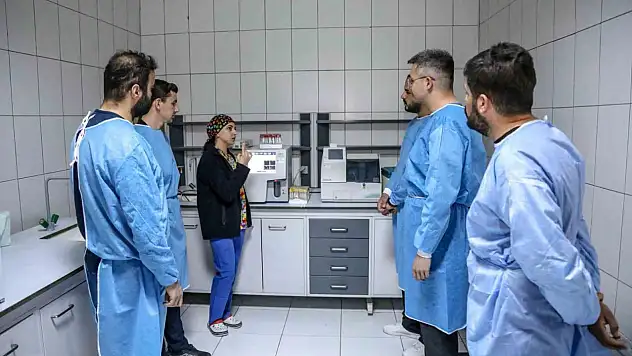Üniversite öğrencileri hayvan bakım evinde uygulamalı eğitim alıyor