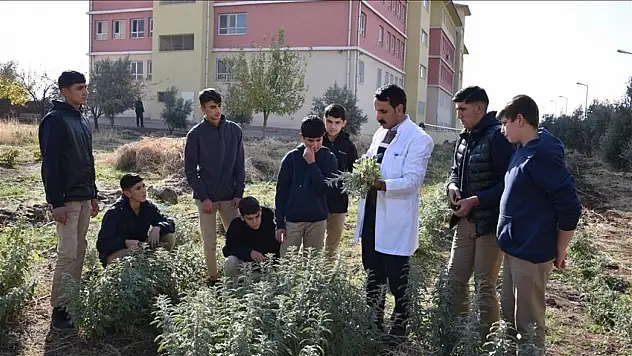 Üniversitelerde staj sistemi baştan yazılıyor