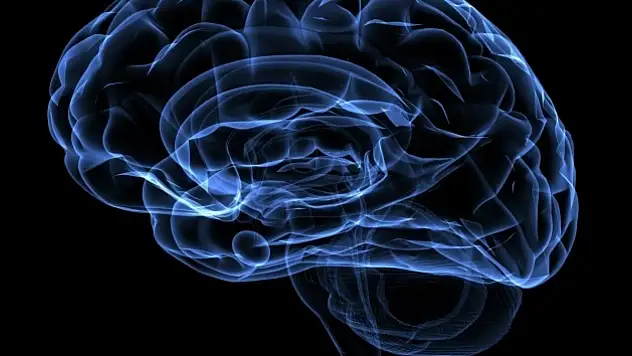 Uyurken beyninizde neler oluyor? Glimfatik sistem gerçeği
