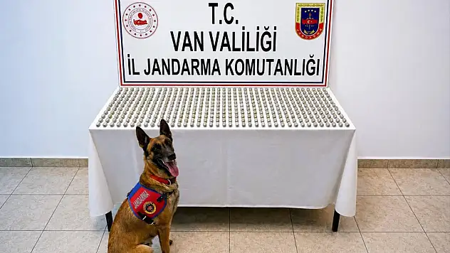 Uyuşturucu dolu kapsülleri yuttular ama jandarmadan kaçamadılar