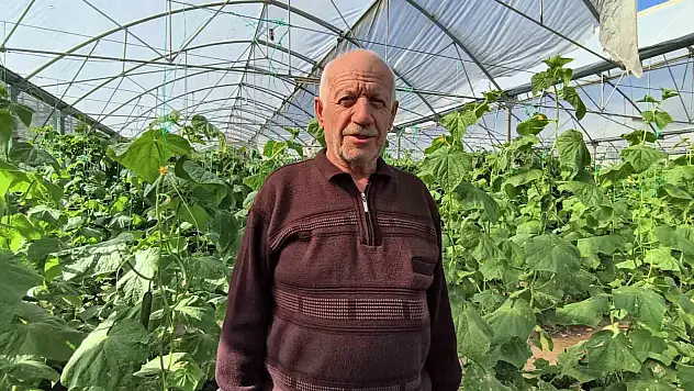 Uzundere'deki dev sera, yaz-kış sebze üretimiyle bölge ekonomisine katkı sağlıyor