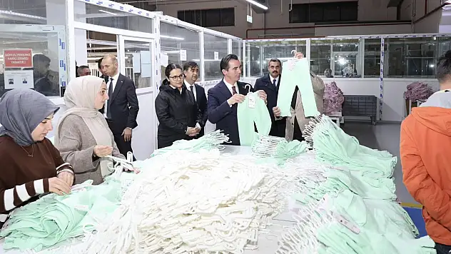 Vali Karakaya, Bitlis OSB'de İncelemelerde Bulundu