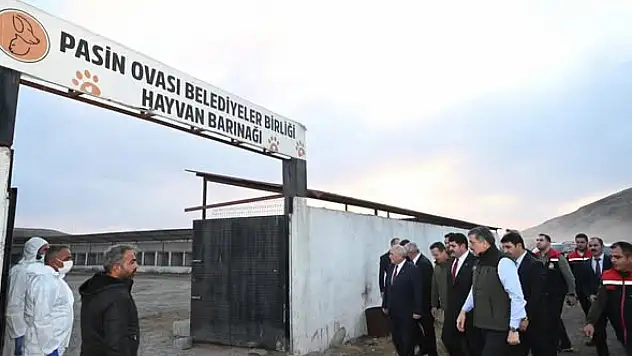 Vali Mustafa Çiftçi, Pasin Ovası Belediyeler Birliği Hayvan Barınağı'nda İncelemelerde Bulundu